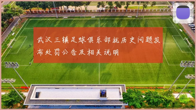 武汉三镇足球俱乐部就历史问题发布处罚公告及相关说明